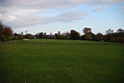 DSC_1995fix.jpg