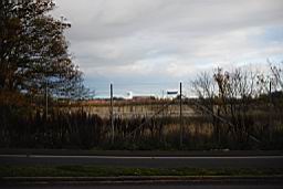 DSC_1997fix.jpg