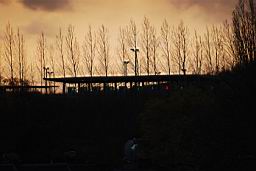 DSC_2053fix.jpg