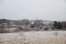 DSC_2292fix.jpg