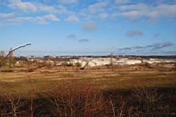DSC_2404fx.jpg