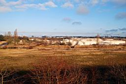 DSC_2405fx.jpg