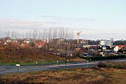 DSC_2407fx.jpg