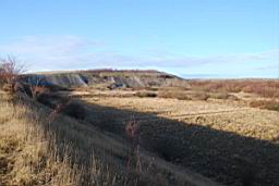 DSC_2420fx.jpg