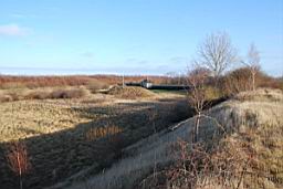 DSC_2421fx.jpg