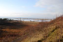 DSC_2427fx.jpg