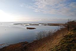 DSC_2433fx.jpg