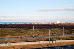 DSC_2446fx.jpg