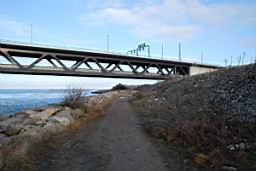 DSC_2449fx.jpg