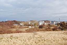 DSC_2540fx.jpg