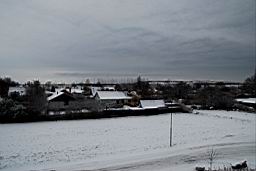 DSC_2577fix.jpg