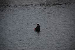DSC_2749fix.jpg
