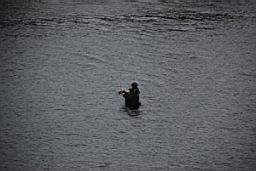 DSC_2751fix.jpg