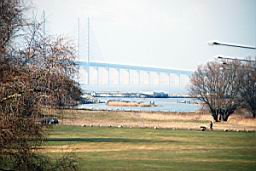 DSC_2787fx.jpg