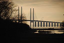 DSC_2826fx.jpg