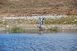 DSC_4704fx.jpg