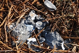 DSC_4714fx.jpg