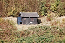 DSC_4718fx.jpg