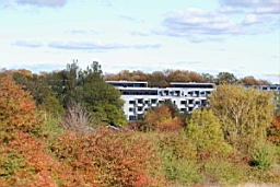 DSC_4733fx.jpg