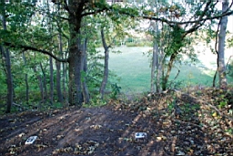 DSC_4739fx.jpg