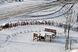 DSC_4822-fix.jpg