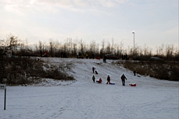 DSC_4972fx.jpg