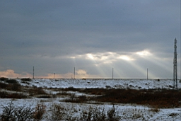 DSC_4980fx.jpg