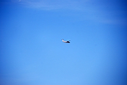 DSC_5005fx.jpg