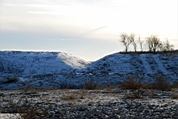 DSC_5011fx.jpg