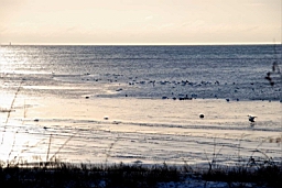 DSC_5016fx.jpg