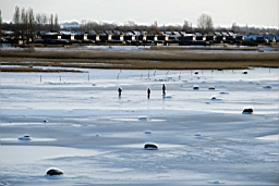 DSC_5017fx.jpg