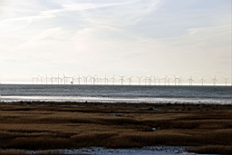 DSC_5020fx.jpg