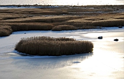DSC_5022fx.jpg