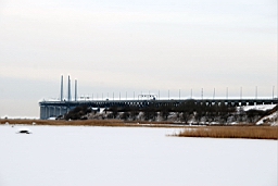 DSC_5082fx.jpg