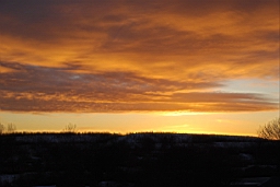 DSC_5248fx.jpg