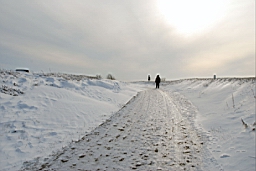 DSC_5258fx.jpg