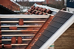 DSC_5329fx.jpg