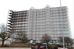DSC_5379fx.jpg