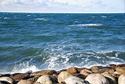 DSC_5394fx.jpg