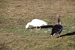 DSC_5428fx.jpg