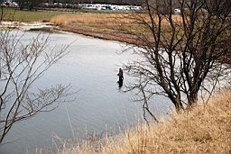 DSC_5697fx.jpg