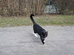 IMG_0183fx.jpg