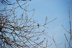 DSC_5758fx.jpg