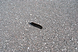 DSC_5769fx.jpg