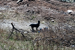 DSC_5857fx.jpg