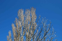 DSC_5867fx.jpg
