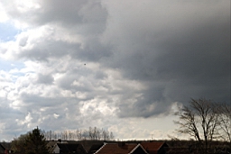 DSC_5919fx.jpg