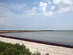 IMG_0770fx.jpg