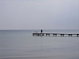IMG_0773fx.jpg