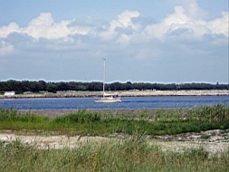 IMG_0775fx.jpg